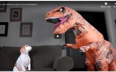 Dog Befriends Dinosaur