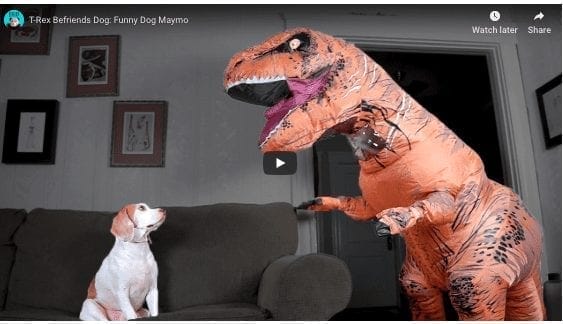 Dog Befriends Dinosaur