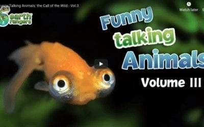 Funny Talking Animals #3