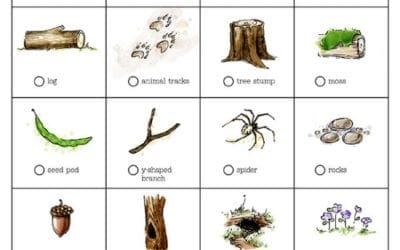 Five Nature Scavenger Hunts For Kids