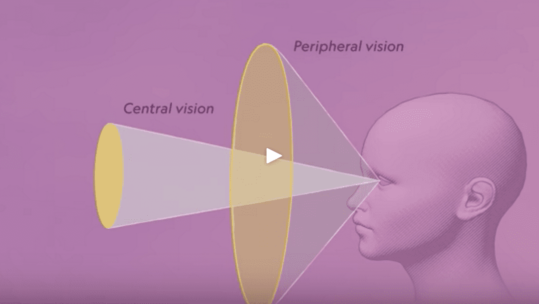 How Our Brains And Eyes Work Together