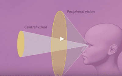 How Our Brains And Eyes Work Together