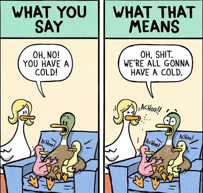 Relatable Duck Comic on Family Colds