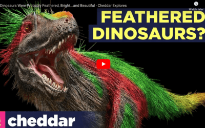 Were Dinosaurs Bright And Feathered