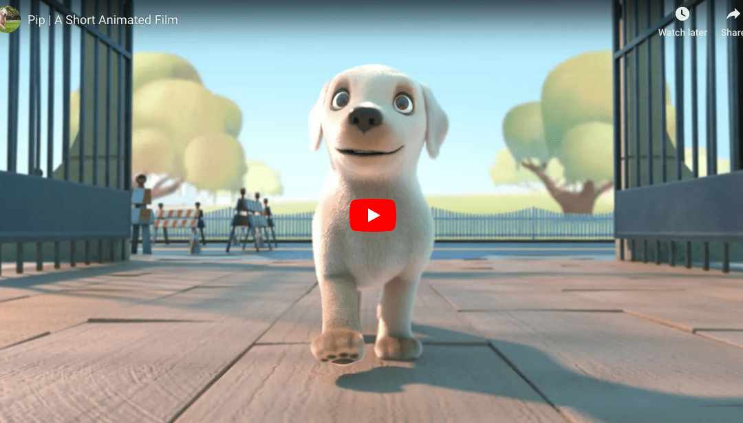 Heartwarming Animation About a Guide Dog Pip