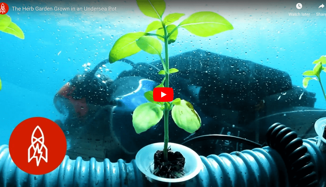 The Future: Underwater Farms