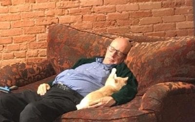 The Cat Nap Volunteer