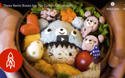 Adorable Japanese Bento Boxes