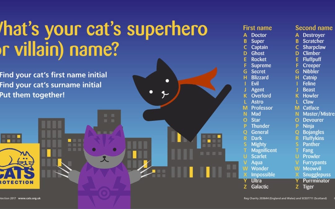 Cat Superhero Name Generator