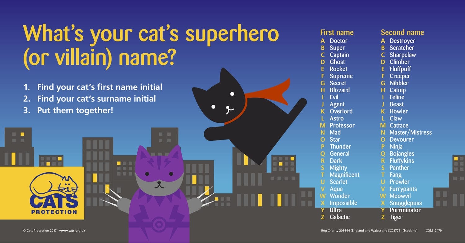 Superhero/Villain Name Generator