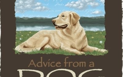 New Year’s Advice From A Dog