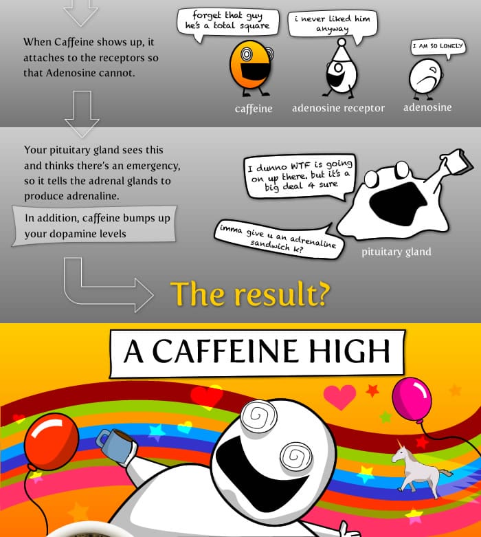 coffee infographic