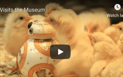 BB-8  Visits A Museum