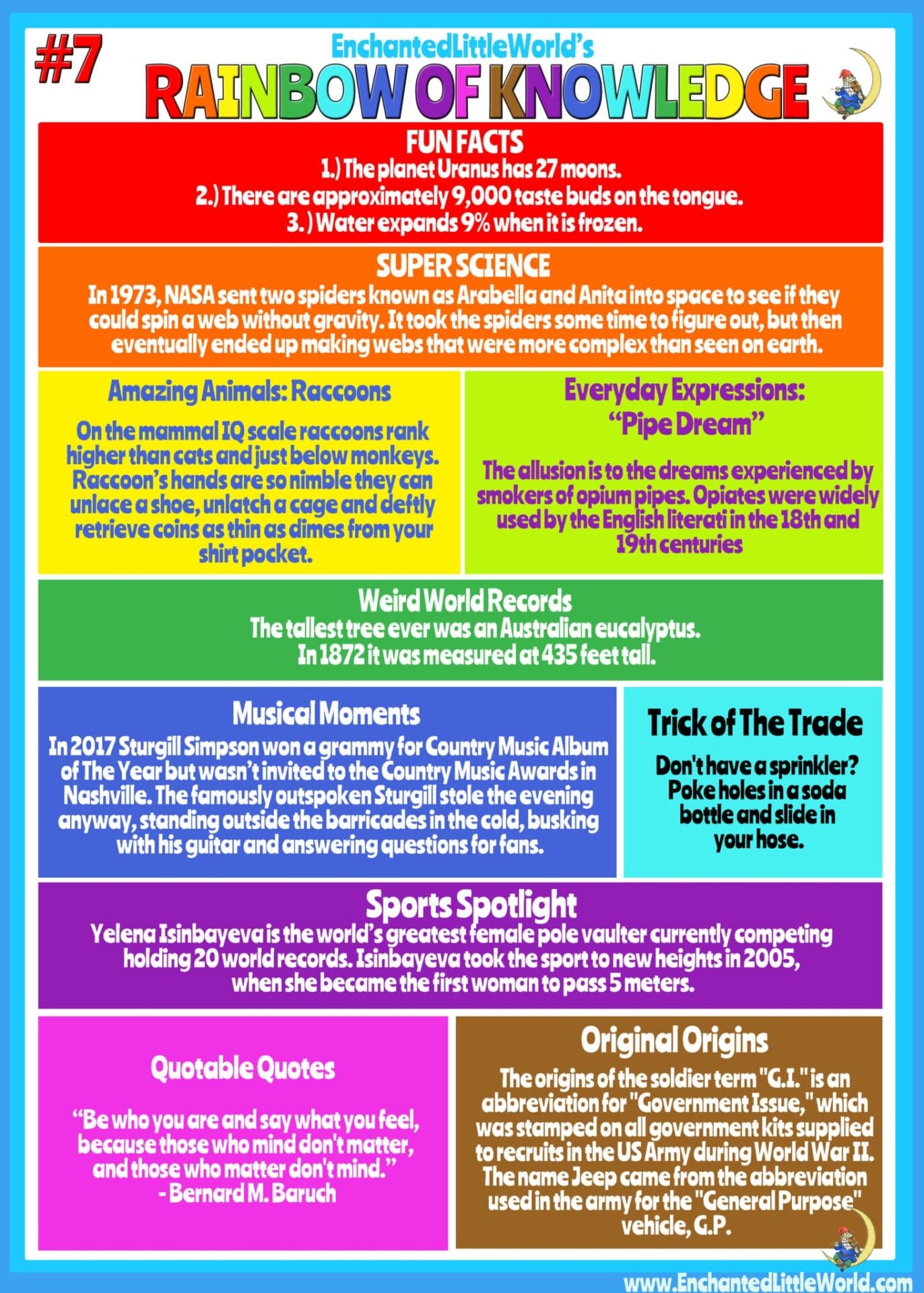 A newsletter split into bold rainbow colored blocks filled with neat trivia.