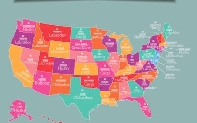 Most Popular Dog Breeds By State