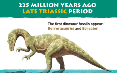 Visual Timeline of Dinosaurs