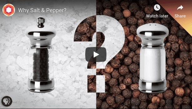 History Of Salt & Pepper