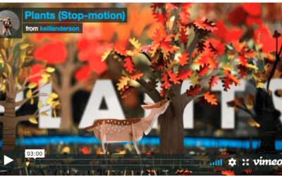Enchanting Woodland Stop-Motion