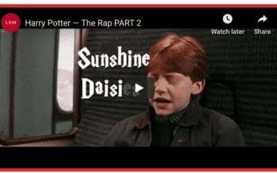 Harry Potter: Sunshine Daisies