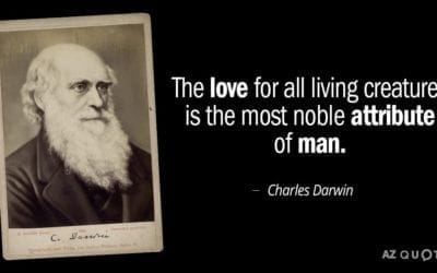 Charles Darwin – Words Of Wisdom