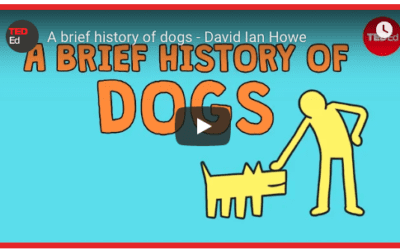 A Brief History Of Dogs