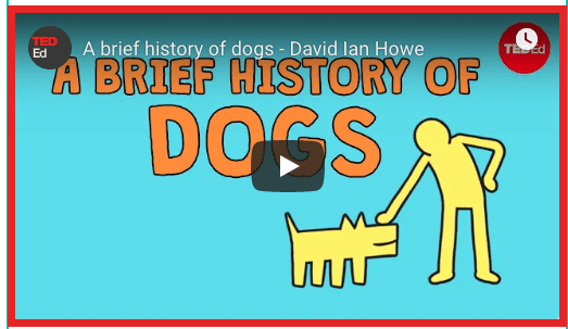 A Brief History Of Dogs
