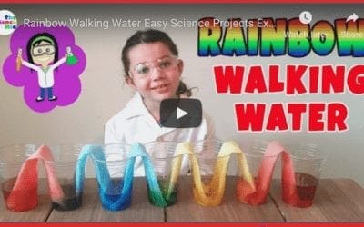 Rainbow Walking Water