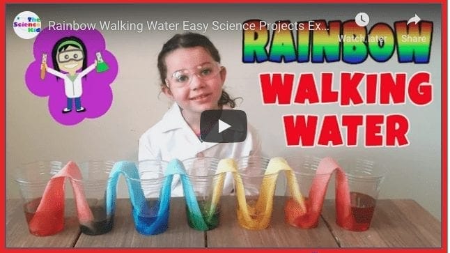 Rainbow Walking Water • Enchanted Little World