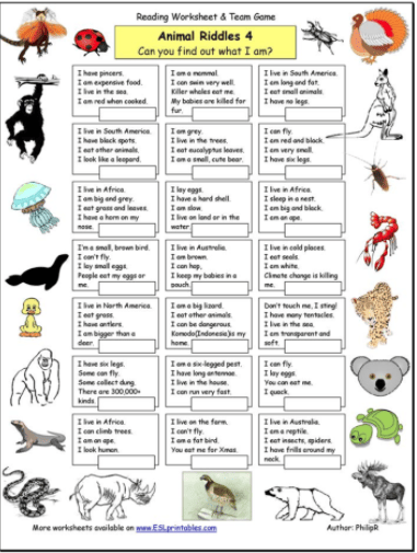 Animal Riddle Quizzes • Enchanted Little World