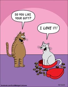 Funny Valentines Day Comic