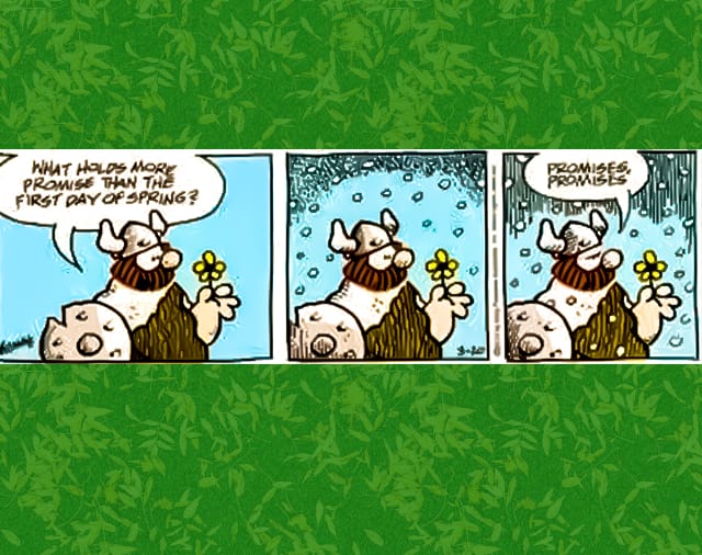 funny-spring-comic-