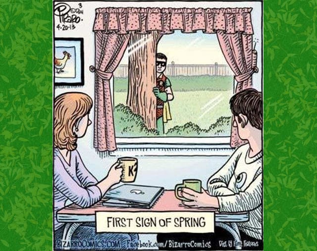 Funny Spring Comic