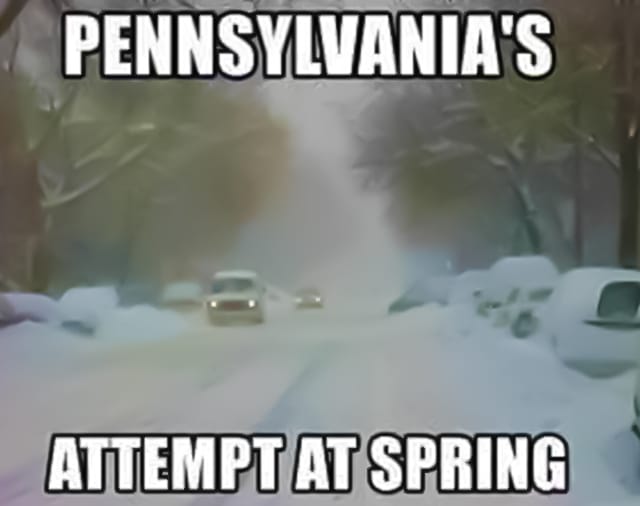 funny spring meme