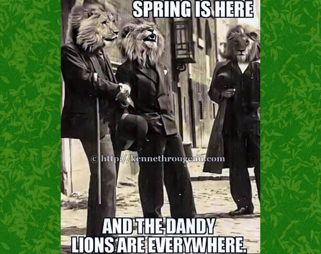 funny spring meme