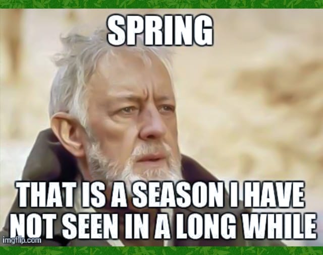 funny spring meme