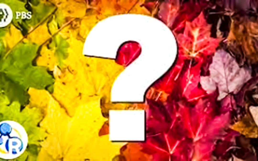 Learn Why Leaves Change Color In The Fall
