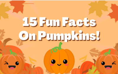 15 Fun Facts On Pumpkins