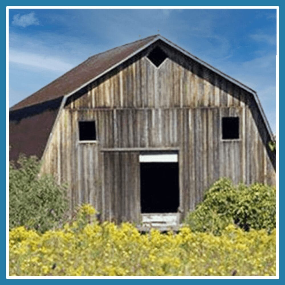 An old rustic barn that looks like it is happy and surprised due to the location of the barn door and windows.