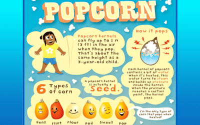 The World Of Popcorn