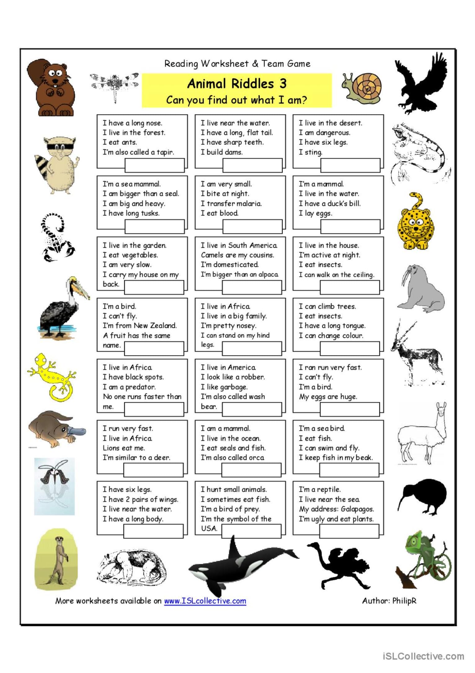 Printable animal riddles worksheet featuring a variety of animals with clues for children to guess. Includes animals like raccoons, cheetahs, orcas, and pelicans with simple descriptions and fun illustrations.