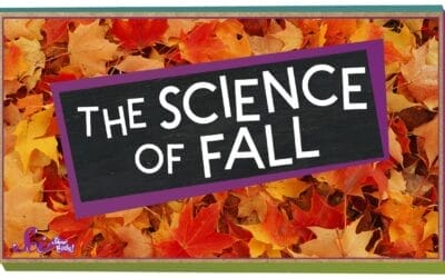 The Science of Fall For Kids 🍁