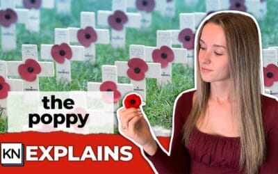 Why Do People Wear A Poppy?